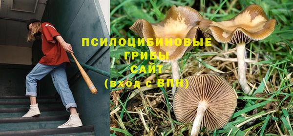 мяу мяу кристалл Арсеньев